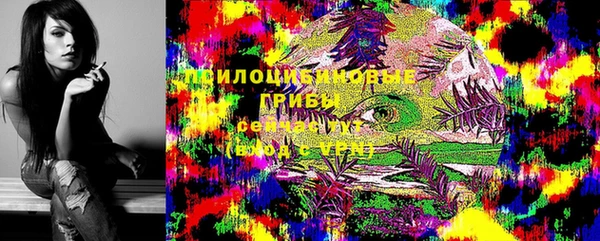 меф Алексин