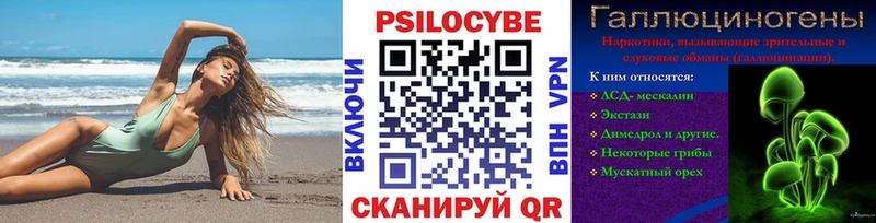 blacksprut зеркало Палласовка Псилоцибиновые грибы MAGIC MUSHROOMS